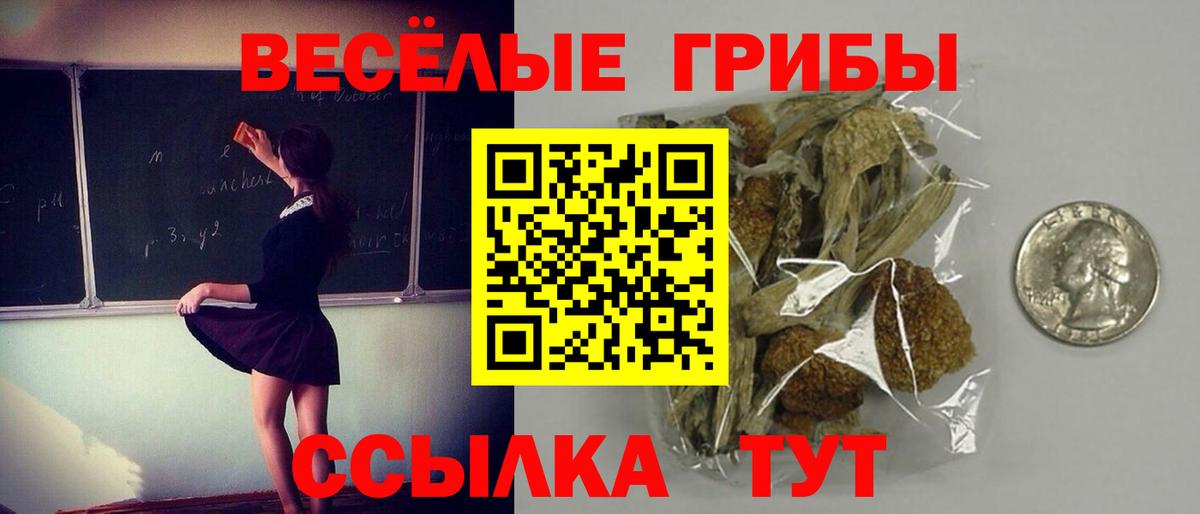 Псилоцибиновые грибы Cubensis  Вход с VPN  Златоуст  Псилоцибиновые грибы Magic Shrooms 